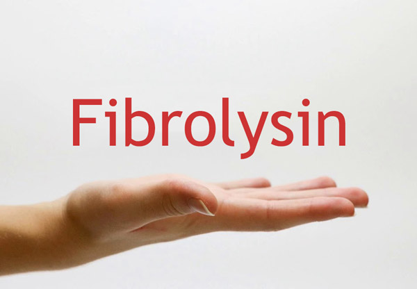 Thảo dược có thành phần Fibrolysin giúp cải thiện triệu chứng giãn phế quản
